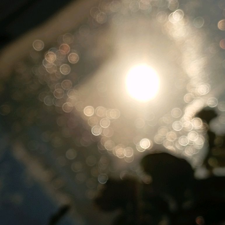 Иконка канала 🥶🐸ЛяГуШкА🐸🥵