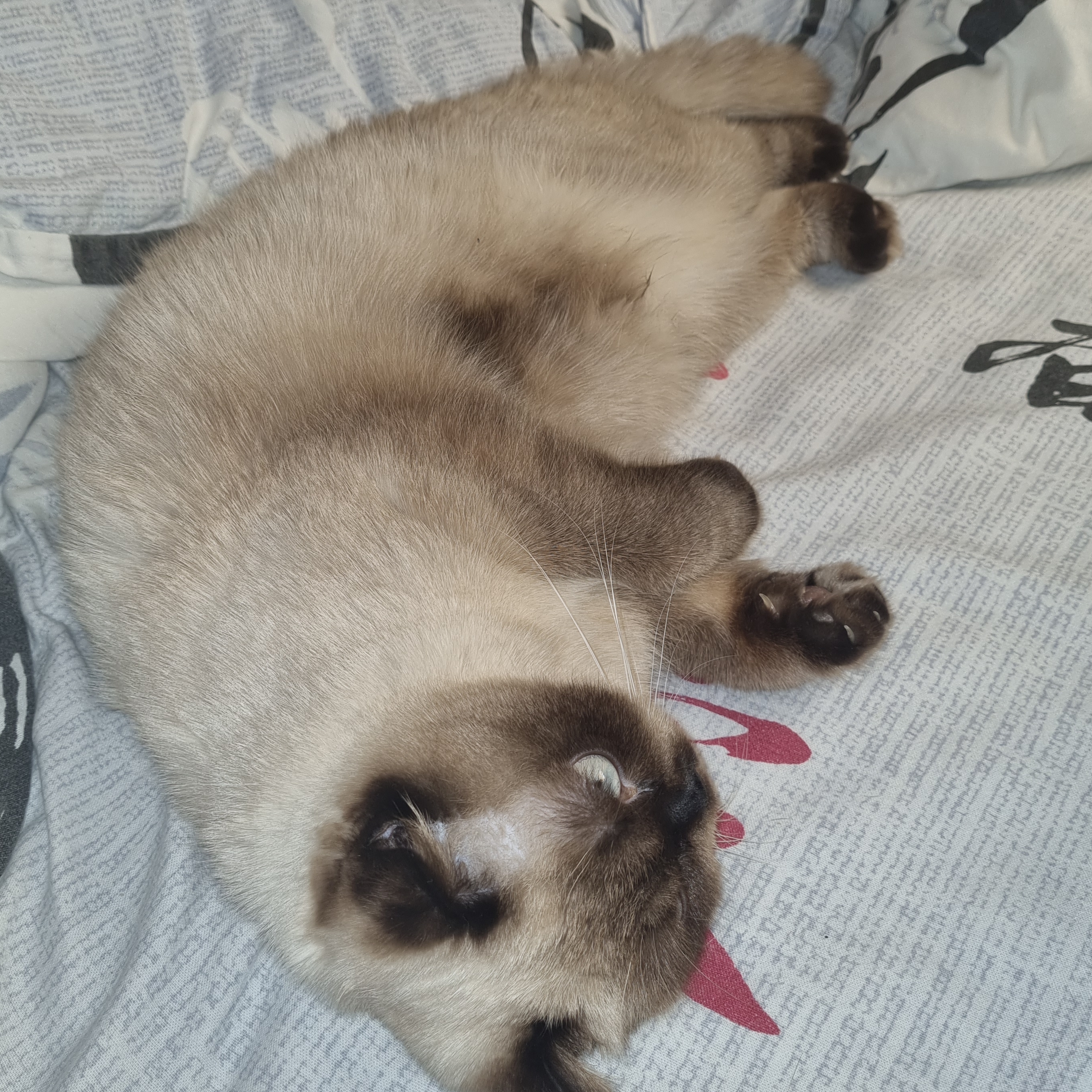 Иконка канала Leonchannel