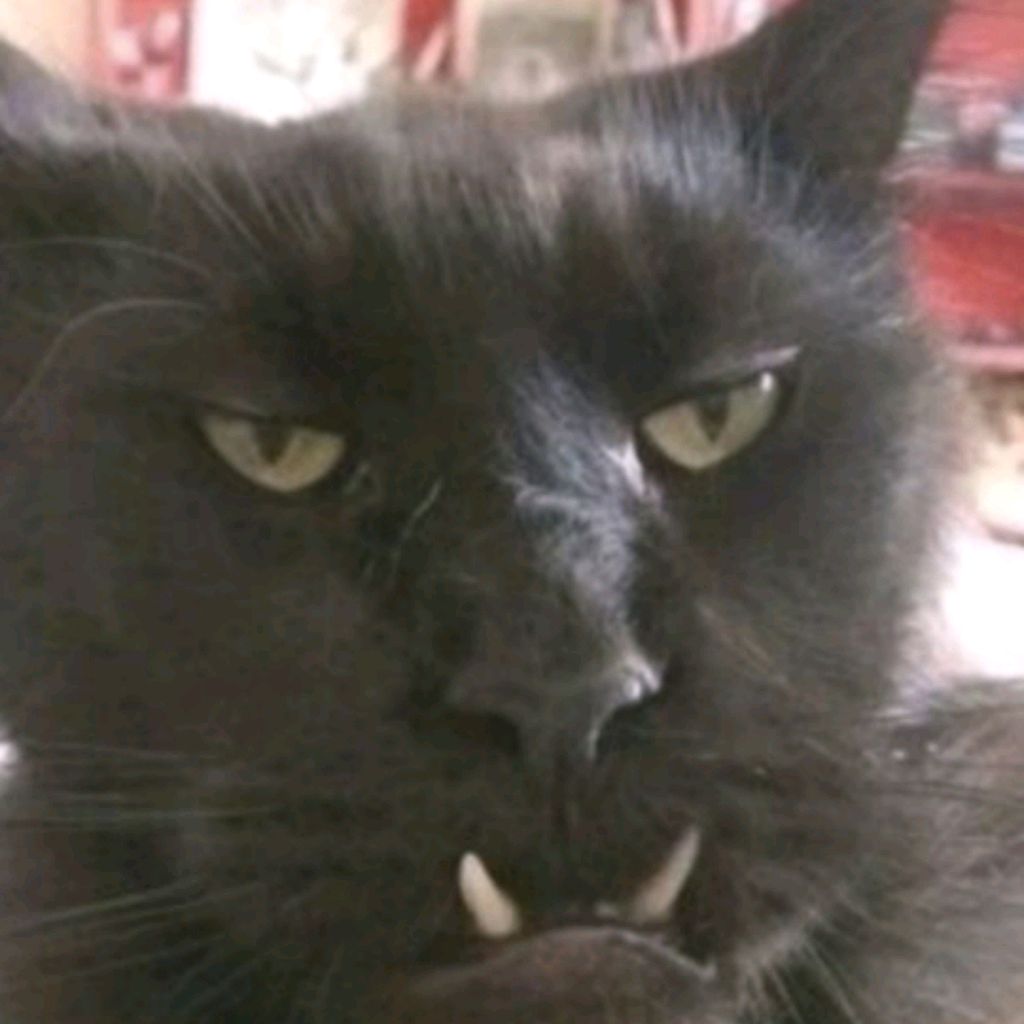 Иконка канала Lait