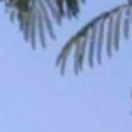 Иконка канала Светлана Орлова