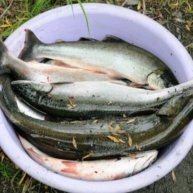 Иконка канала Учусь ловить 🐟