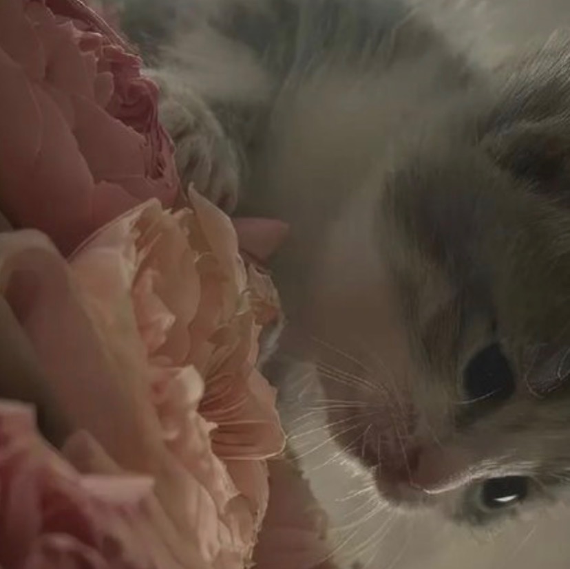 Иконка канала 🎧🎀