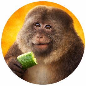 Иконка канала Позитивки