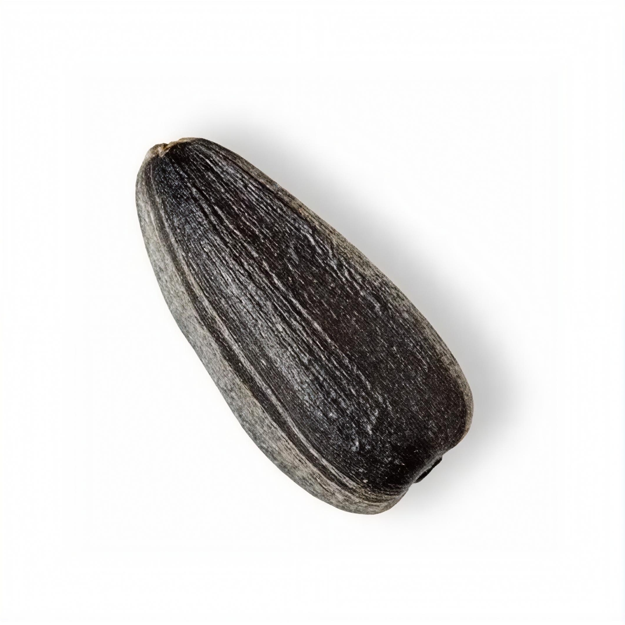 Иконка канала MR Семечка