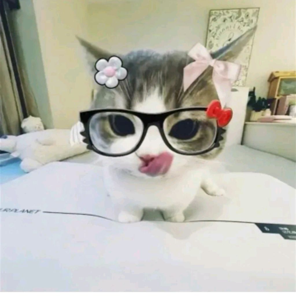 Иконка канала ⁠♡Сашок⁠♡