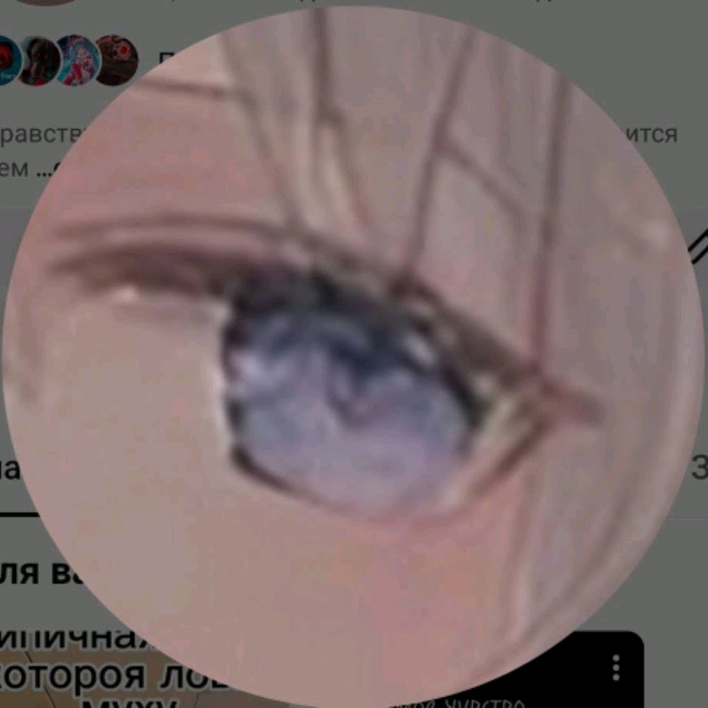 Иконка канала Кадсвиль