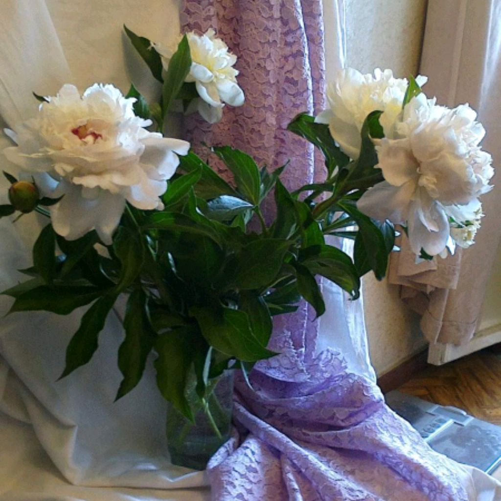 Аватар