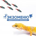 Иконка канала Удивительный зоомагазин ЭКЗОМЕНЮ