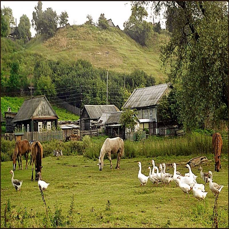 Деревня сладостей. Сельская жизнь Азербайджан. Настоящая деревня. Жизнь в деревне Азербайджан. Сладкая деревушка Азербайджан.