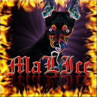 Иконка канала malice2kvideos