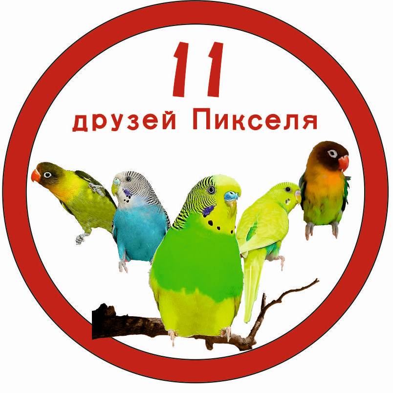 Иконка канала 11 друзей Пикселя