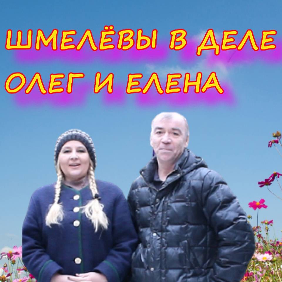 Иконка канала Шмелевы в деле. Олег и Елена.