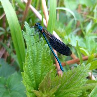 Иконка канала Жизнь в деревне - всё в свои руки!
