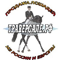 Иконка канала Траверсале.рф - Лошади России и Европы
