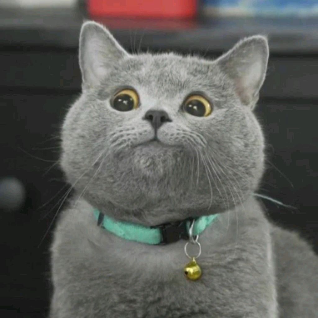 Коты с надписями. Мемы про интровертов. Так я уже отправил. Шутки про леху смешные. Ну тогда ладно кот.