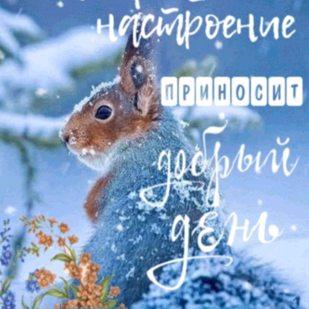 Снегоход рысь купить в Дуване | Транспорт | Авито