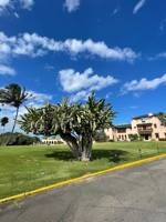 Иконка канала дмитрий