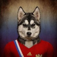 Иконка канала WooDi