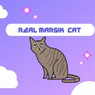 Иконка канала Real Marsik Cat