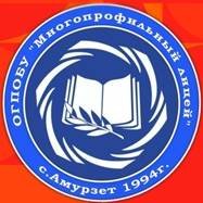 Иконка канала ОГПОБУ "МНОГОПРОФИЛЬНЫЙ  ЛИЦЕЙ"