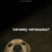 Иконка канала краказябра