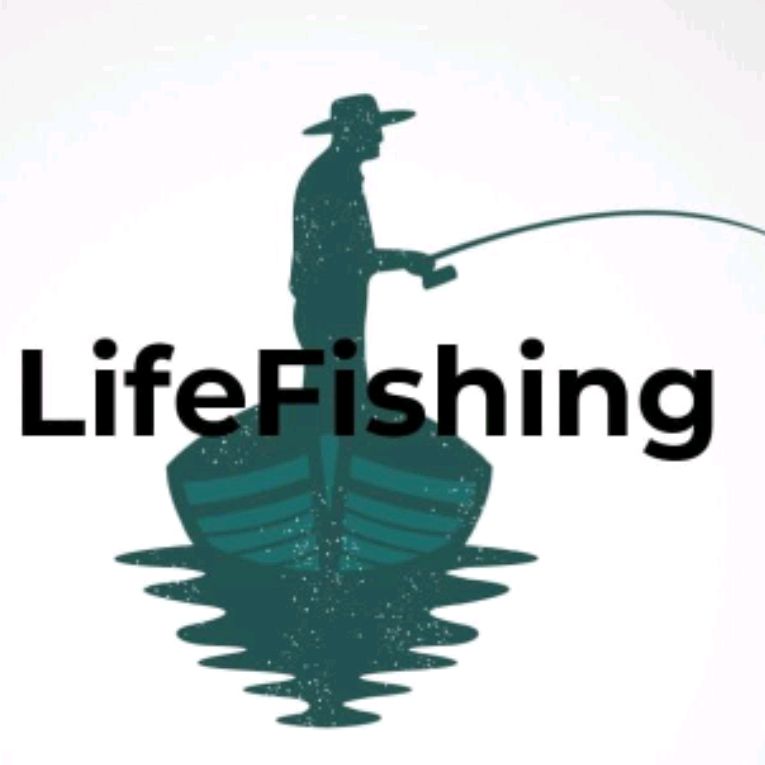 Fishing life много денег