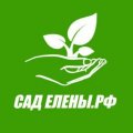 Иконка канала САДЕЛЕНЫ.РФ