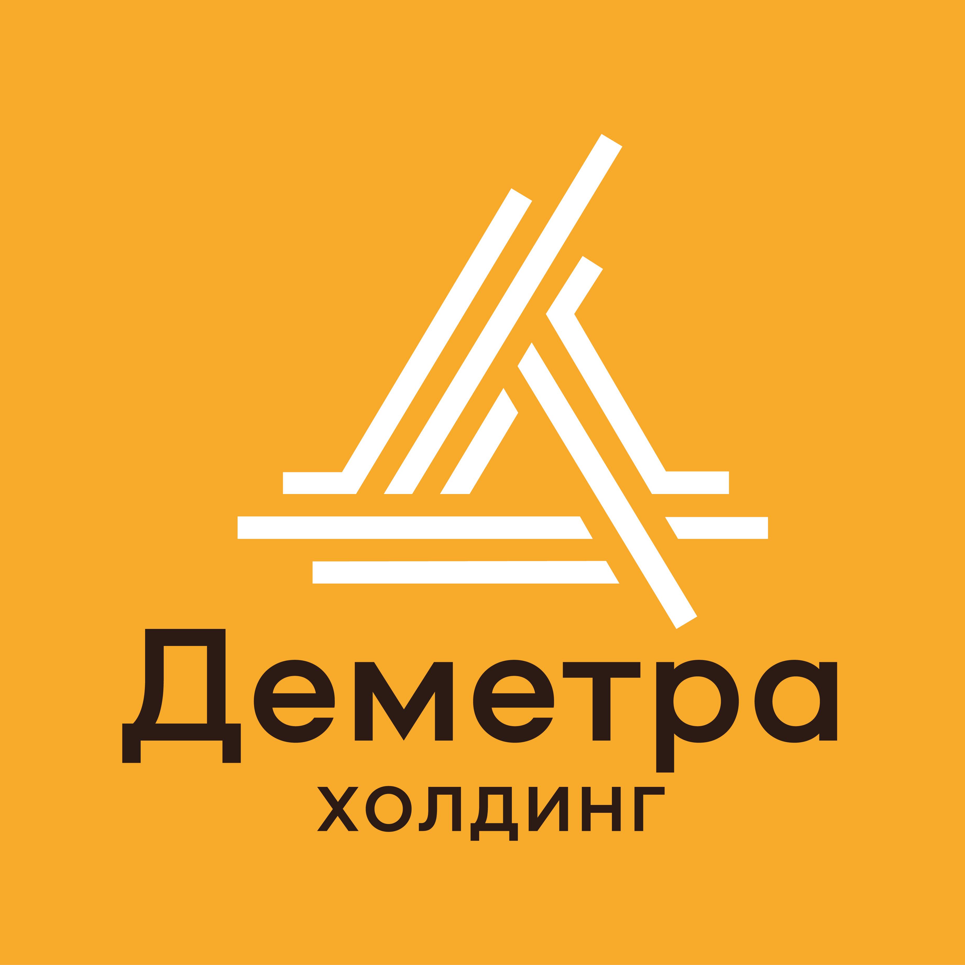 Иконка канала «Деметра-Холдинг»