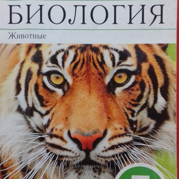 Биология 7 латюшина. Латюшин в.в., Шапкин в.а. «биология. Животные». Биология латюшин Шапкин. Биология. Животные. Автор: в. в. латюшин, в. а. Шапкин))). Биология животные 7 класс латюшин в.в Шапкин в.а.