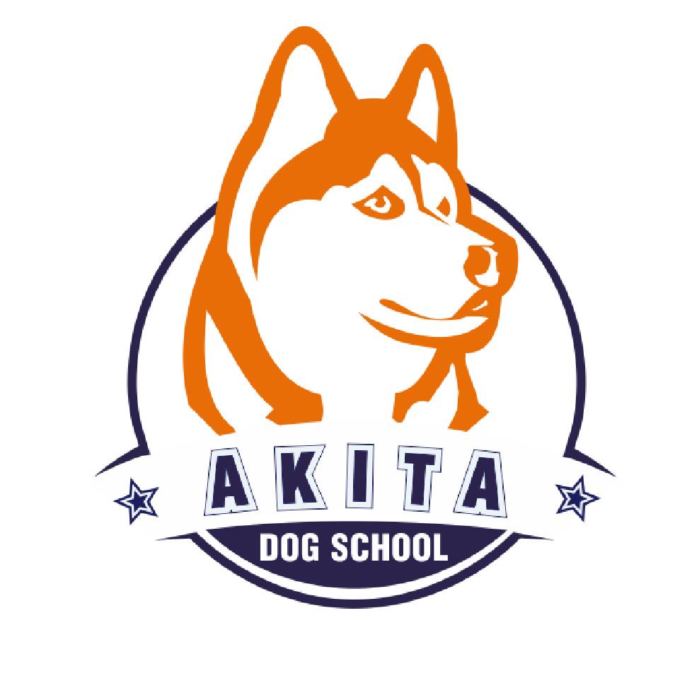 Dog school