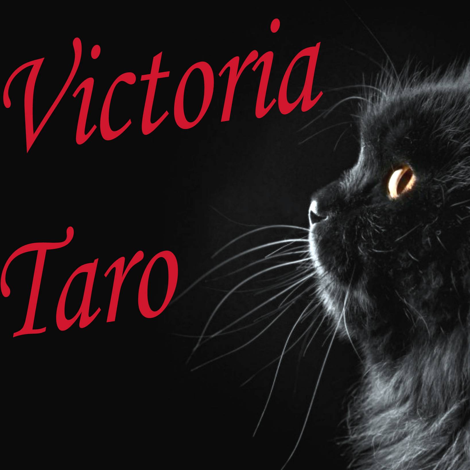 Иконка канала Victoria Taro