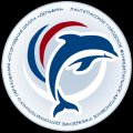 Иконка канала ЛГ МАУ ДО «Спортивная школа Дельфин»