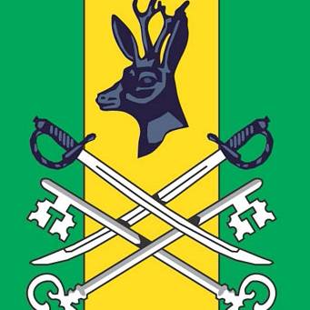 Иконка канала ДЕТСКАЯ ШКОЛА ИСКУССТВ Г.ШИЛКА