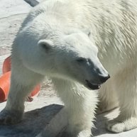 Иконка канала Живой Мир