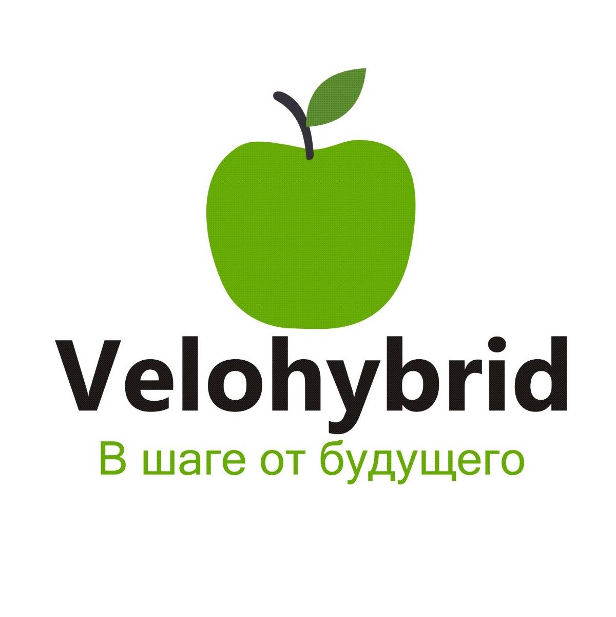 Иконка канала Velohybrid