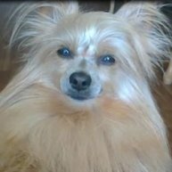 Иконка канала Малыш