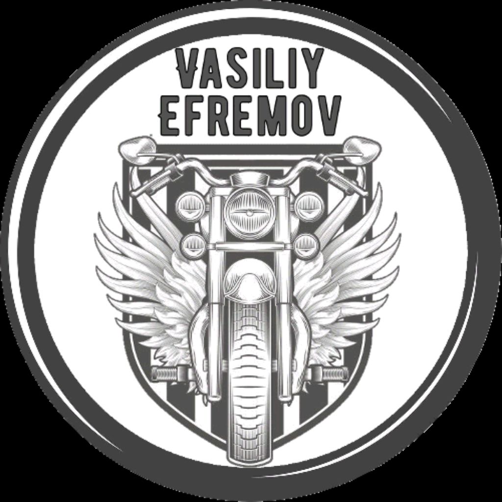 Иконка канала Vasily Efremov