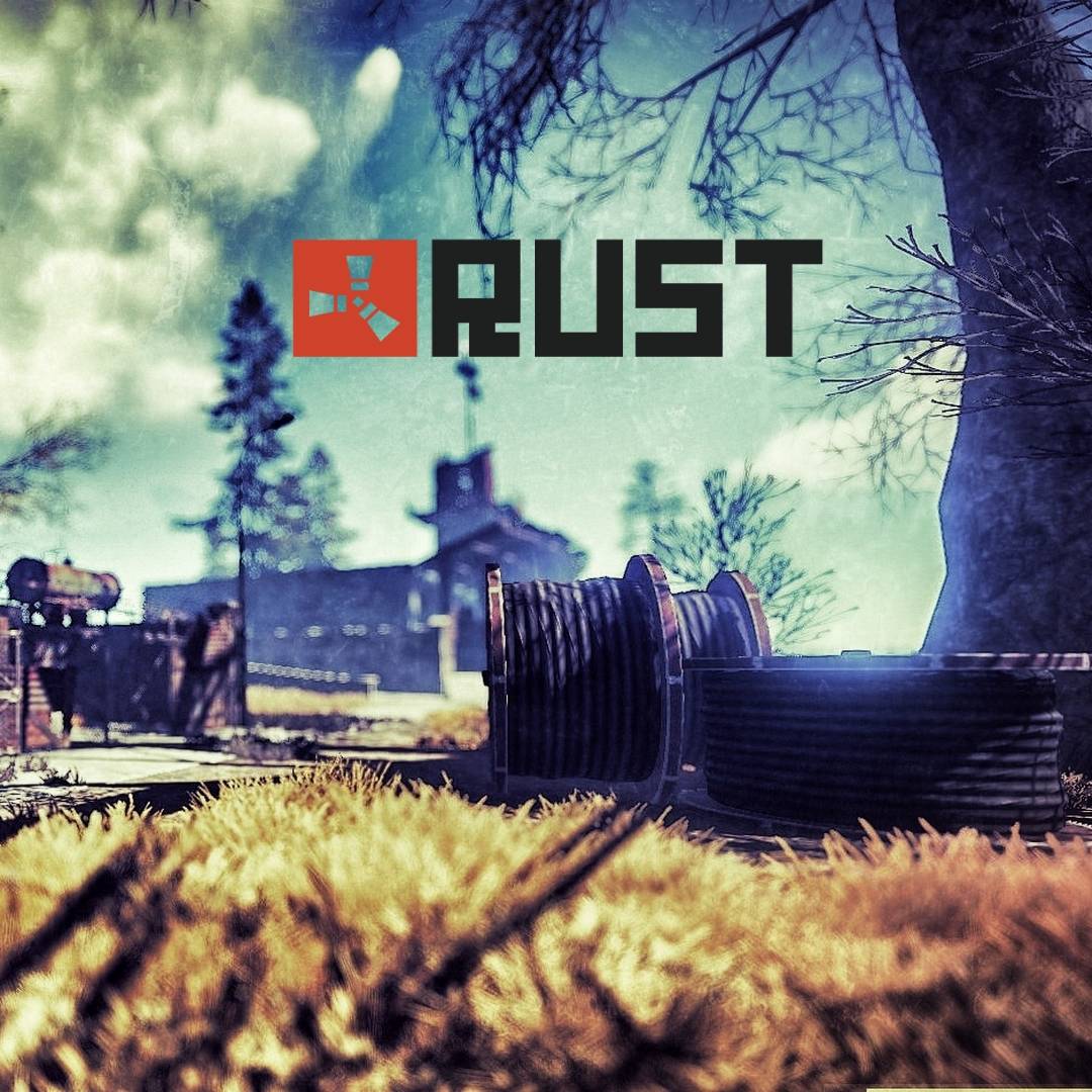 Server for noobs rust фото 37