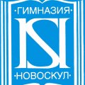 Иконка канала Гимназия "Новоскул"
