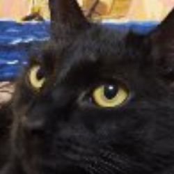 Иконка канала Ирина  Наконечная