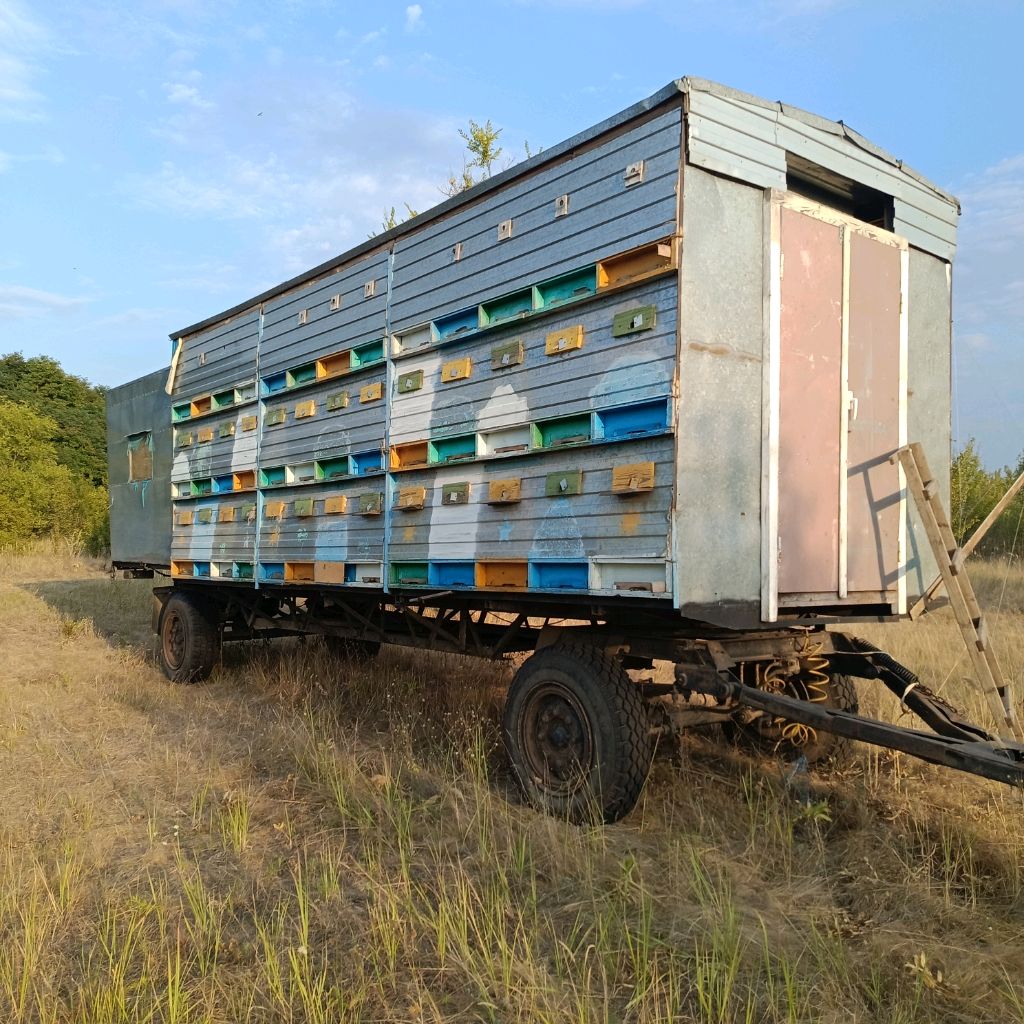 Иконка канала Павильон Александра