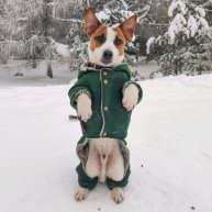 Иконка канала China Сars