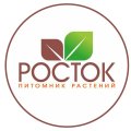 Иконка канала Питомник Росток