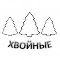 Иконка канала Хвойные 🌲