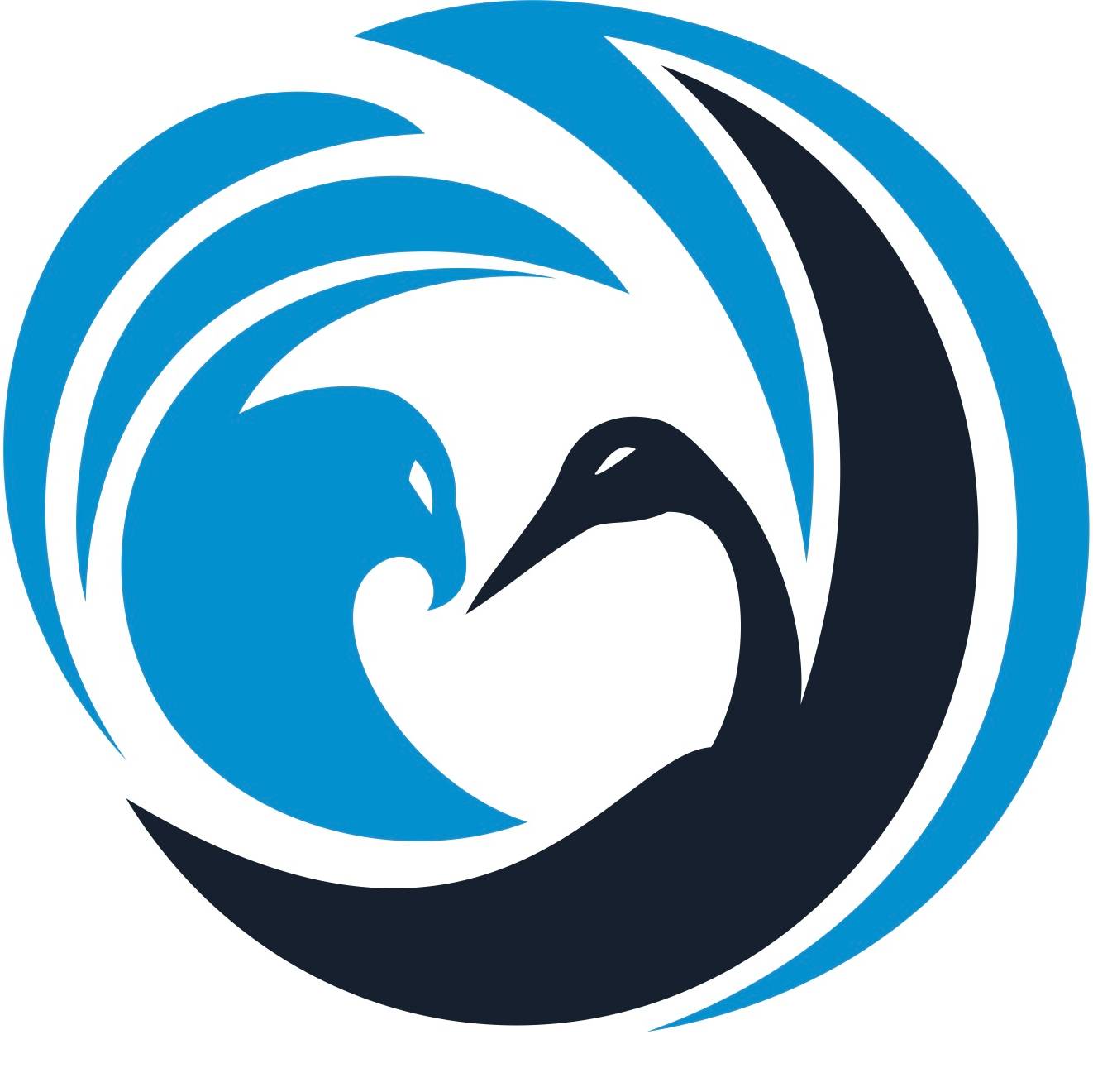 Рус кит. Рус кит. Рус кит. Рус кит. Рускит-бизнес.