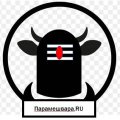 Иконка канала Парамешвара.Ru