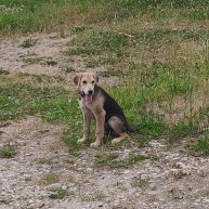 Иконка канала Дмитрий