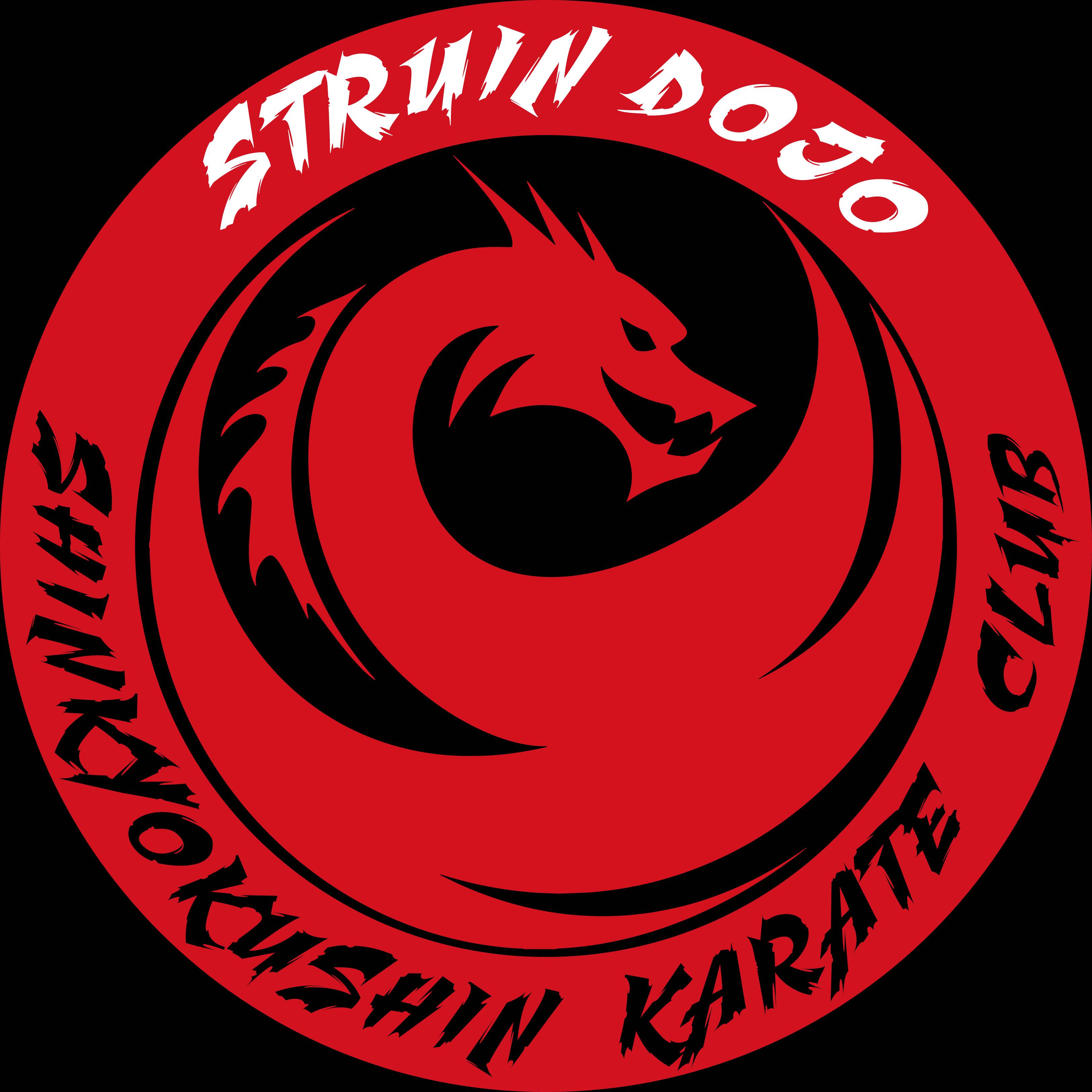 STRUIN DOJO- Каратэ Шинкиокушин Дети