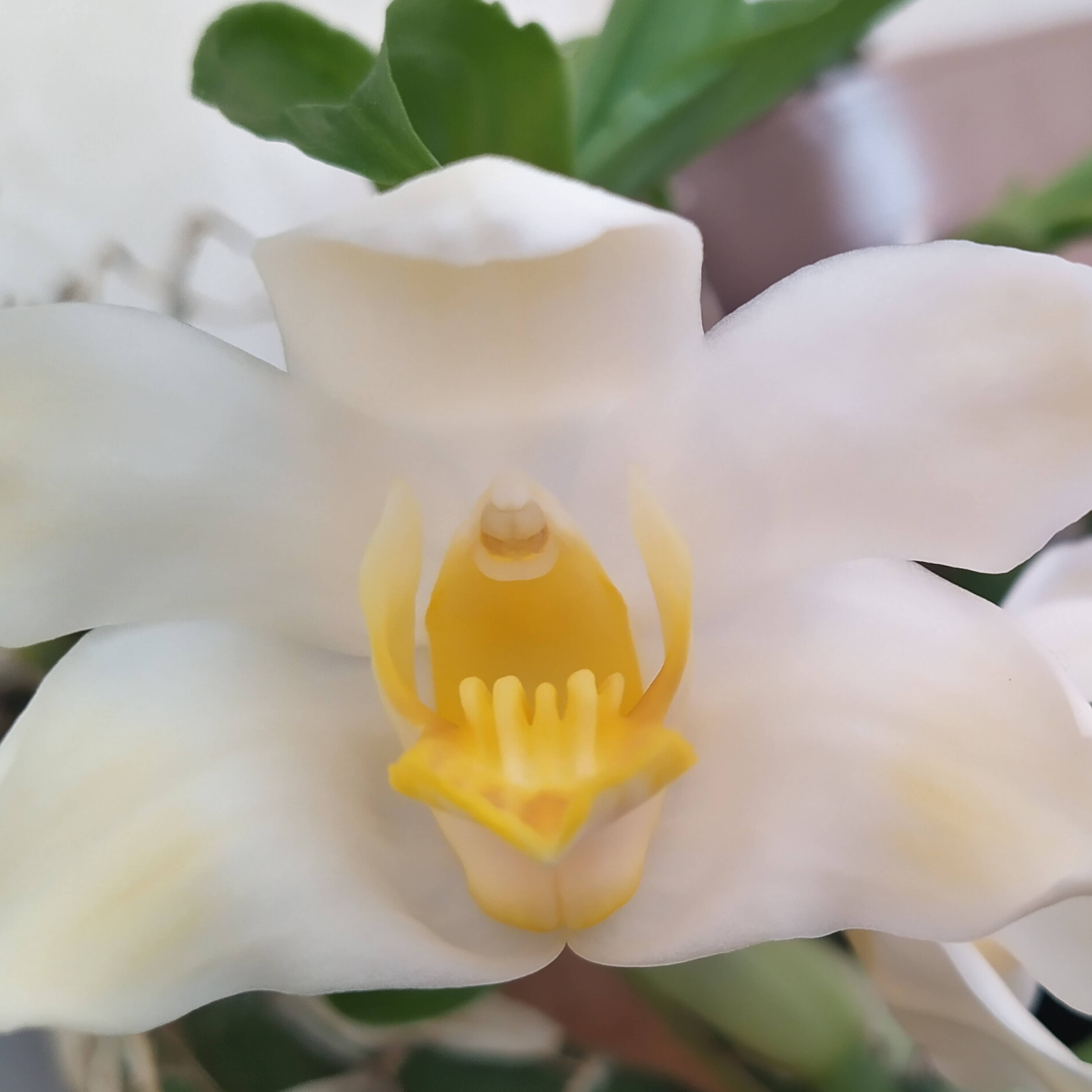 Иконка канала Пална