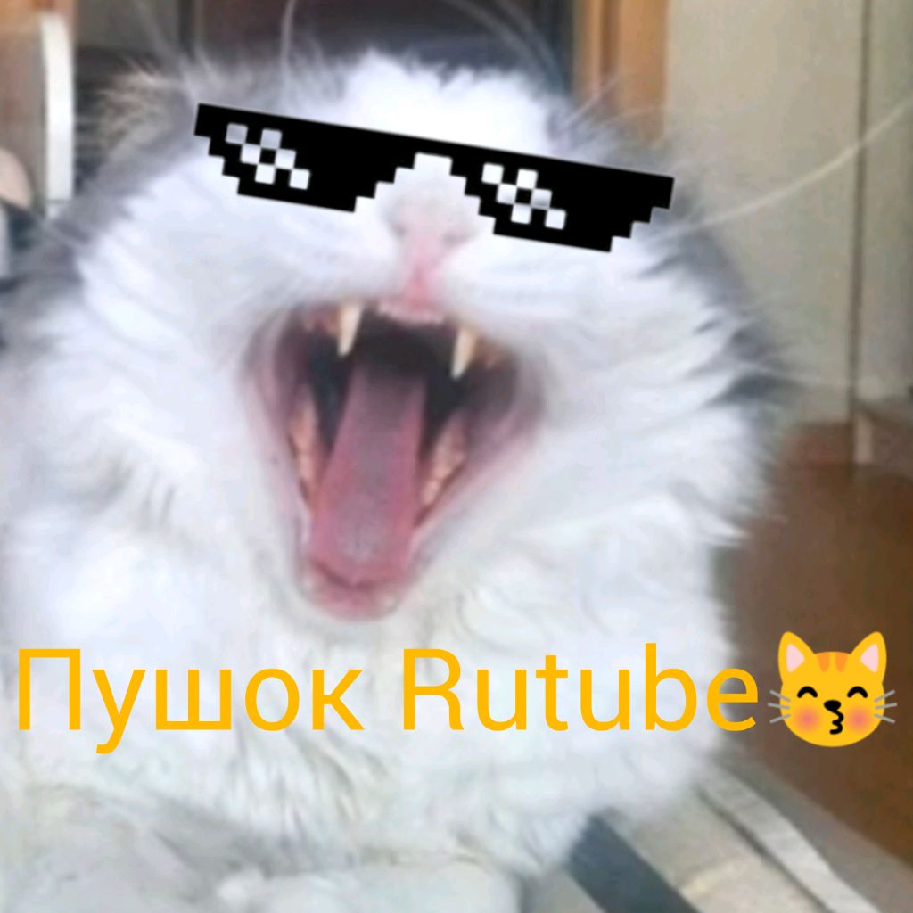 Пушок Rutube😽ᵖʳᵒ ᵖᵘˢʰᵒˢˢᵃ